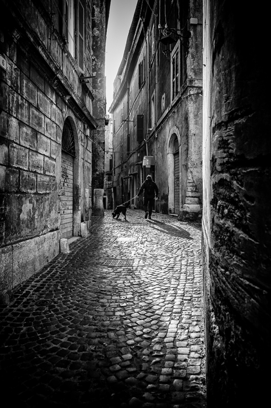 Clicca per l'immagine full size