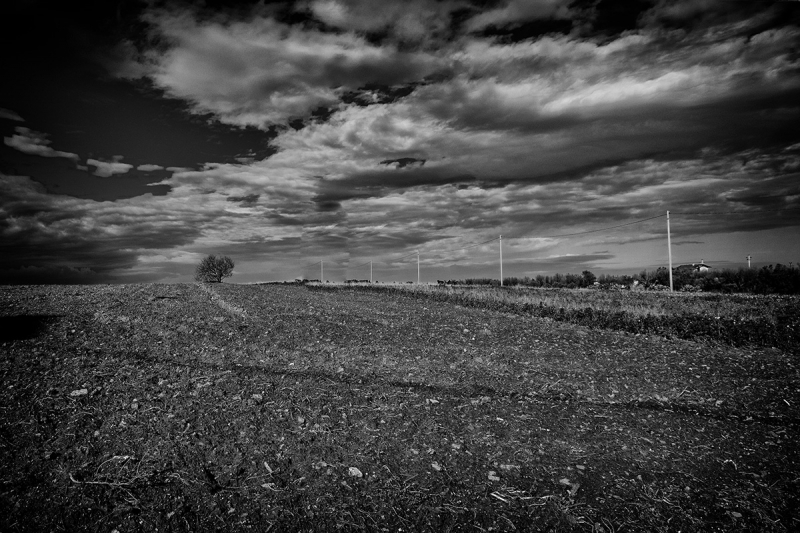 Clicca per l'immagine full size