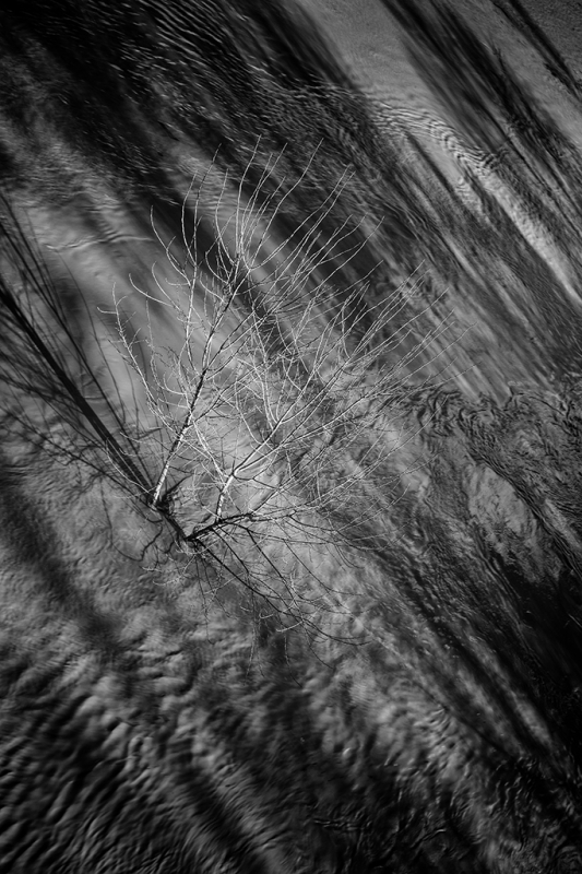 Clicca per l'immagine full size