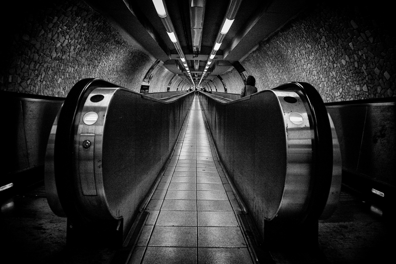 Clicca per l'immagine full size