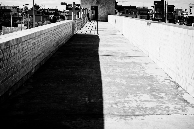 Clicca per l'immagine full size