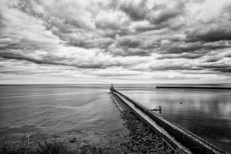 Clicca per l'immagine full size