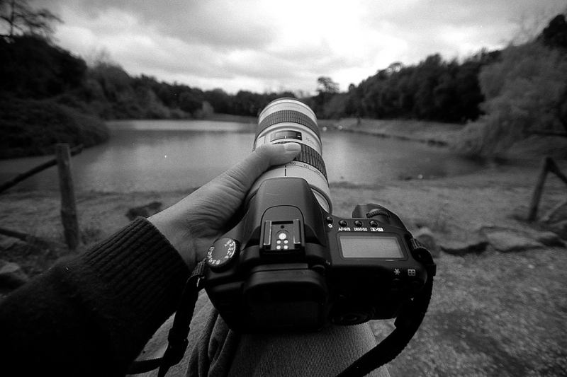 Clicca per l'immagine full size