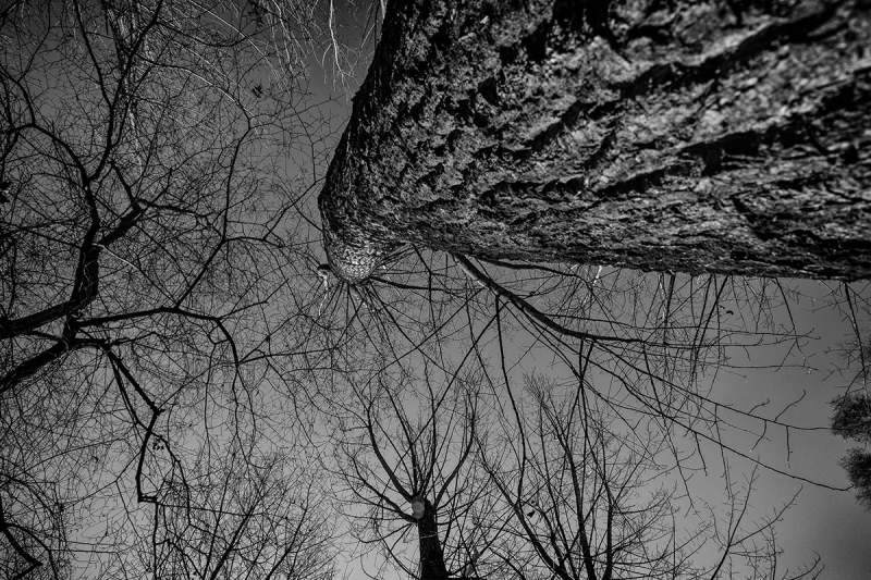 Clicca per l'immagine full size