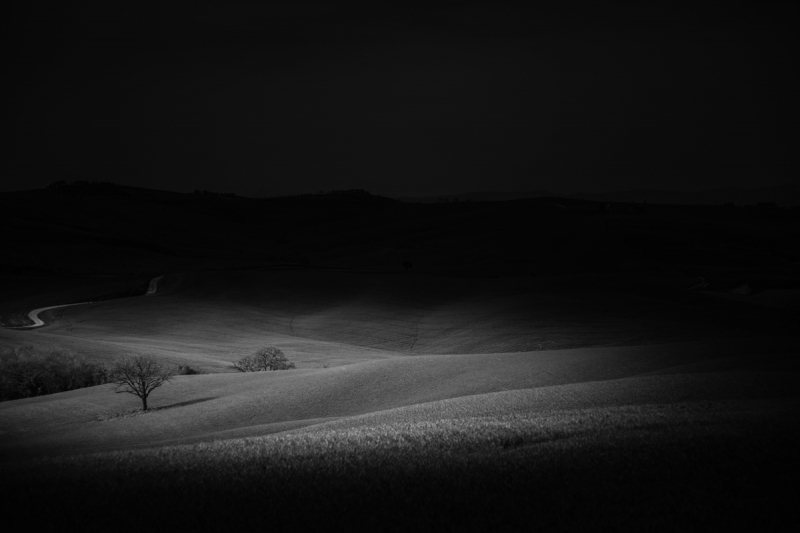 Clicca per l'immagine full size