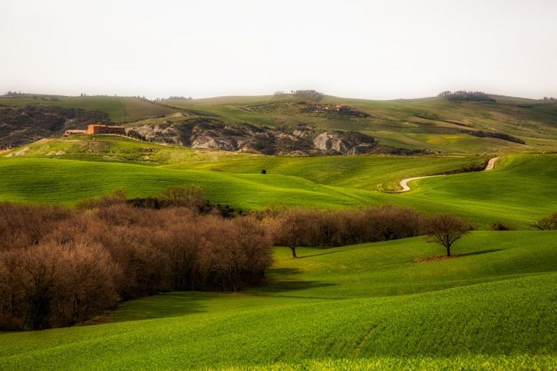 Clicca per l'immagine full size