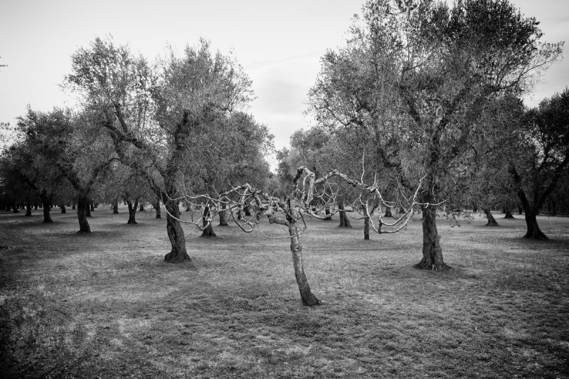 Clicca per l'immagine full size