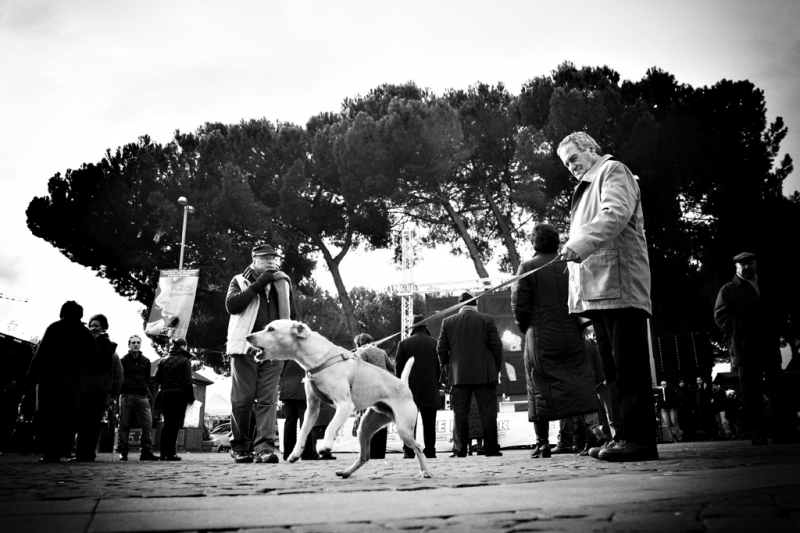 Clicca per l'immagine full size