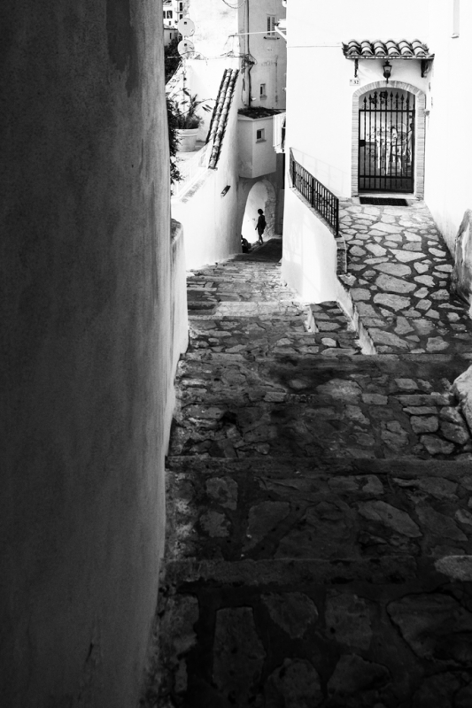 Clicca per l'immagine full size