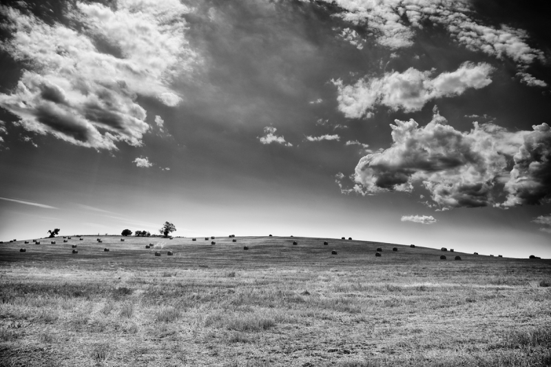Clicca per l'immagine full size