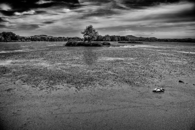Clicca per l'immagine full size