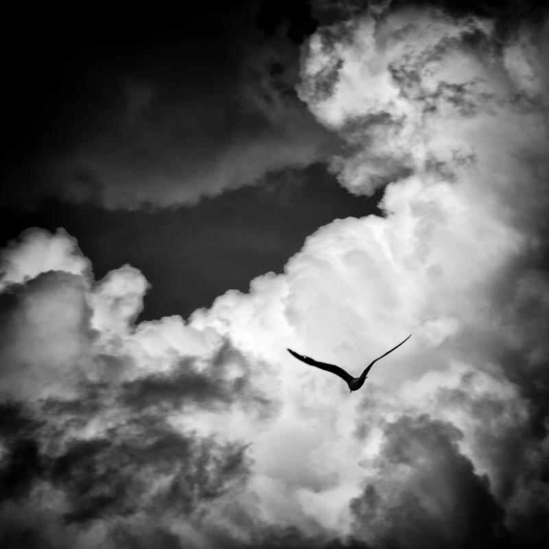 Clicca per l'immagine full size