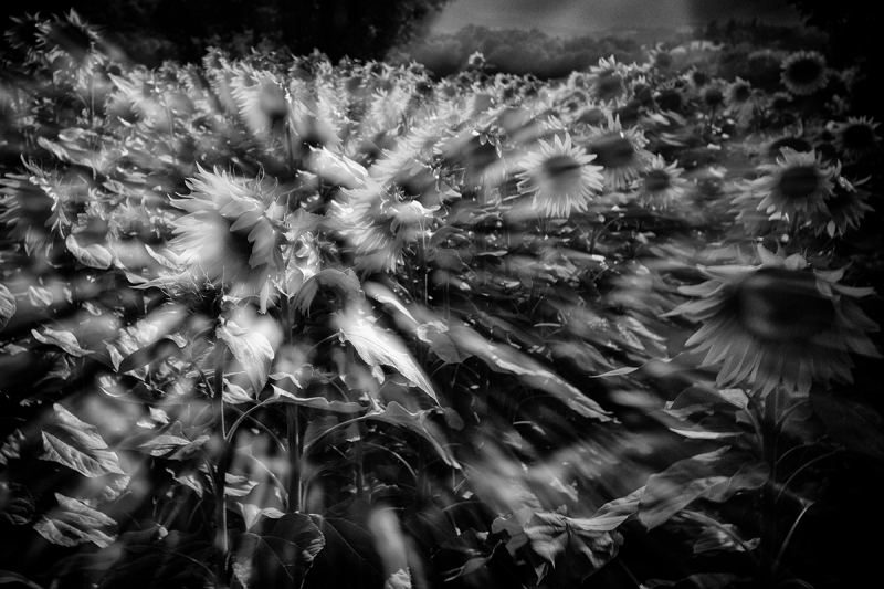Clicca per l'immagine full size