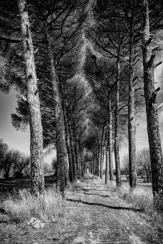 Clicca per l'immagine full size