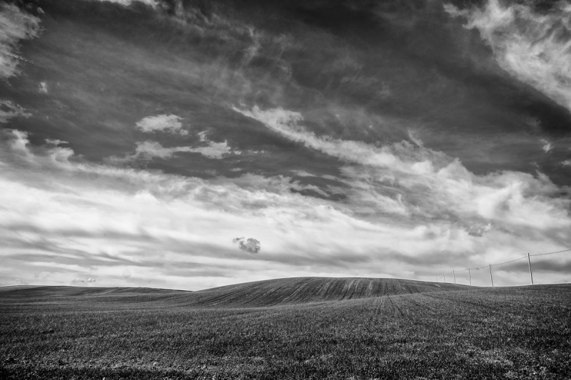 Clicca per l'immagine full size