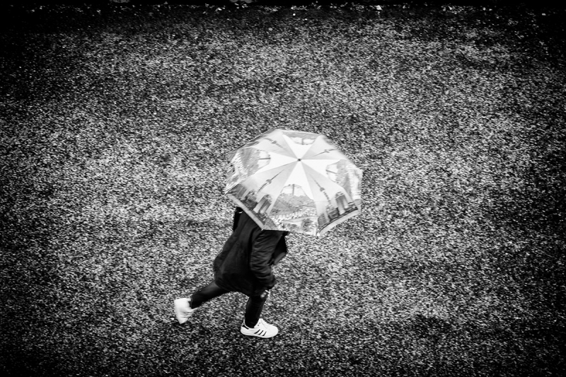 Clicca per l'immagine full size