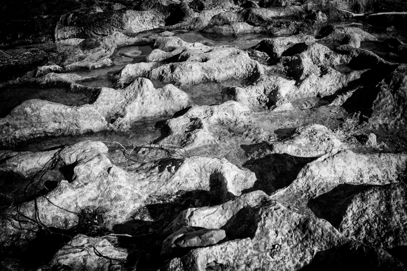 Clicca per l'immagine full size