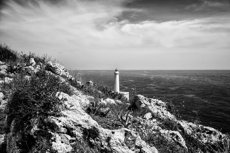 Clicca per l'immagine full size