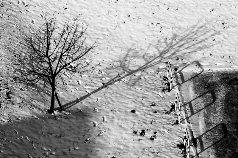 Clicca per l'immagine full size