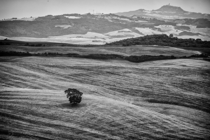 Clicca per l'immagine full size