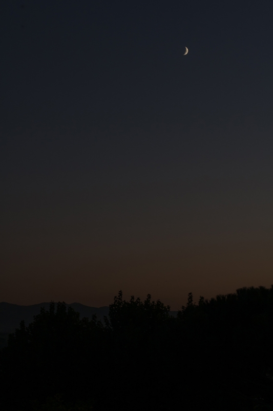 Clicca per l'immagine full size