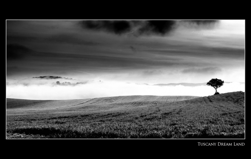 Clicca per l'immagine full size