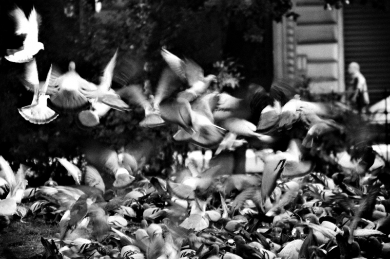Clicca per l'immagine full size