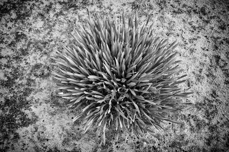 Clicca per l'immagine full size