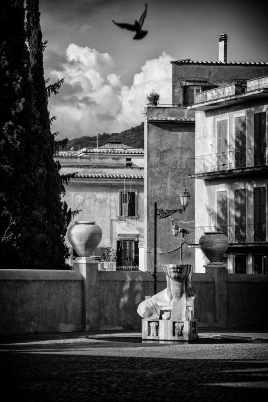 Clicca per l'immagine full size