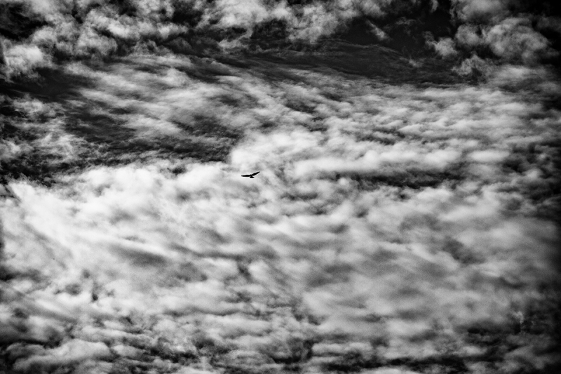 Clicca per l'immagine full size
