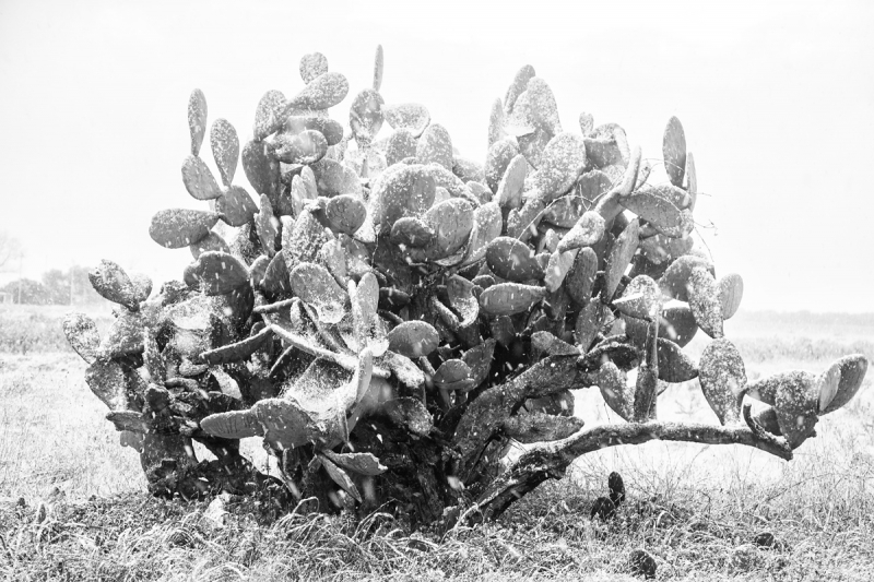 Clicca per l'immagine full size