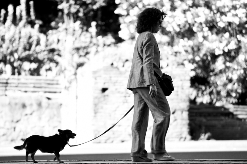 Clicca per l'immagine full size