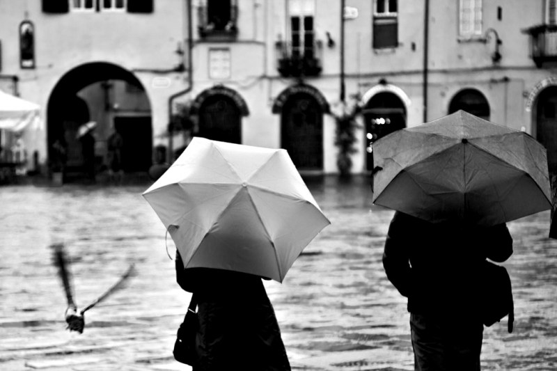 Clicca per l'immagine full size
