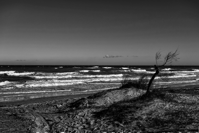 Clicca per l'immagine full size