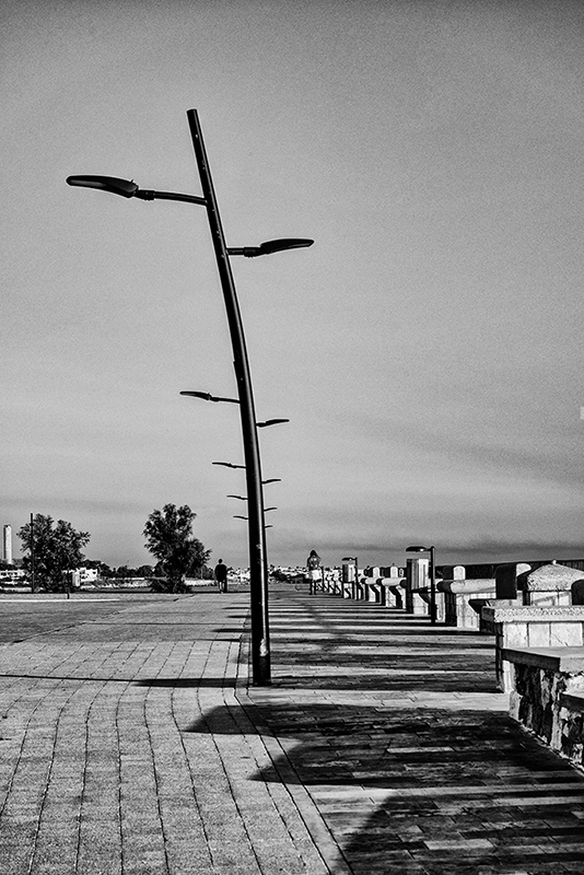 Clicca per l'immagine full size