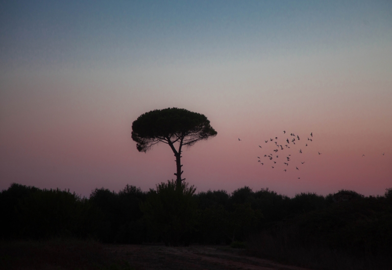 Clicca per l'immagine full size
