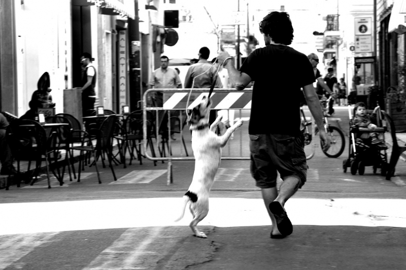 Clicca per l'immagine full size