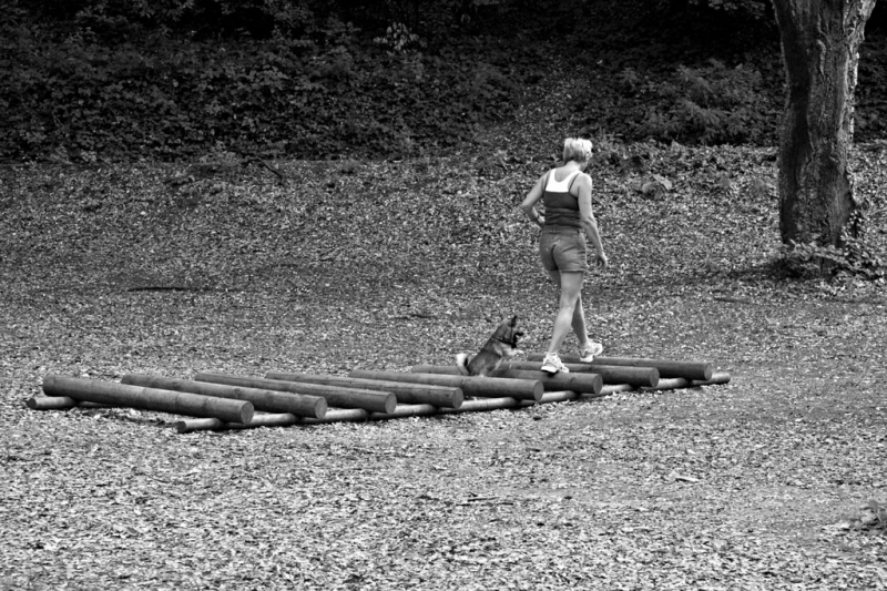 Clicca per l'immagine full size