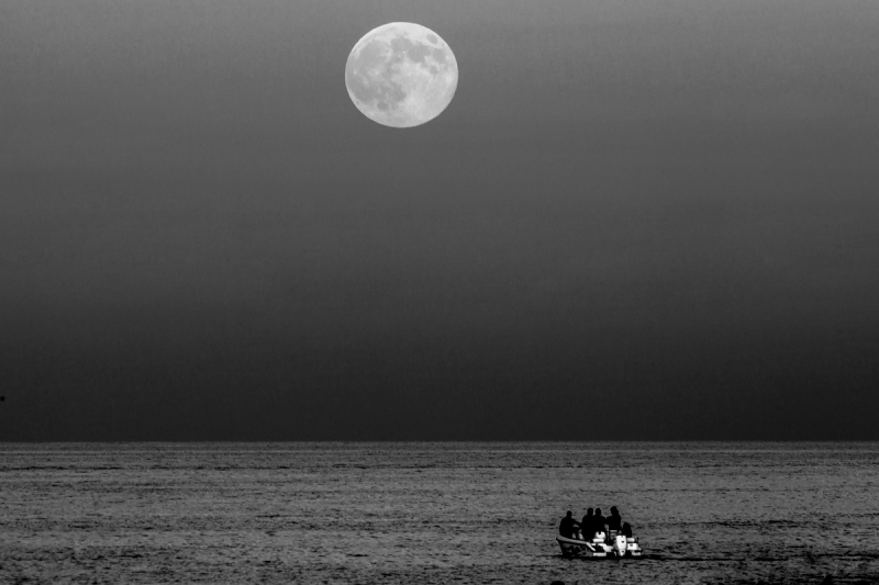 Clicca per l'immagine full size