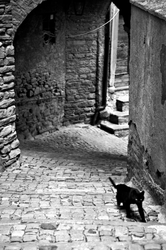 Clicca per l'immagine full size