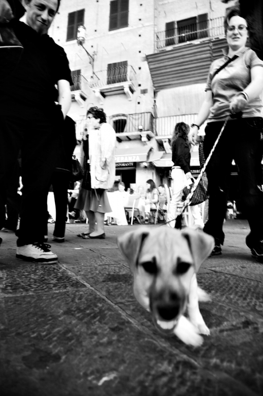 Clicca per l'immagine full size