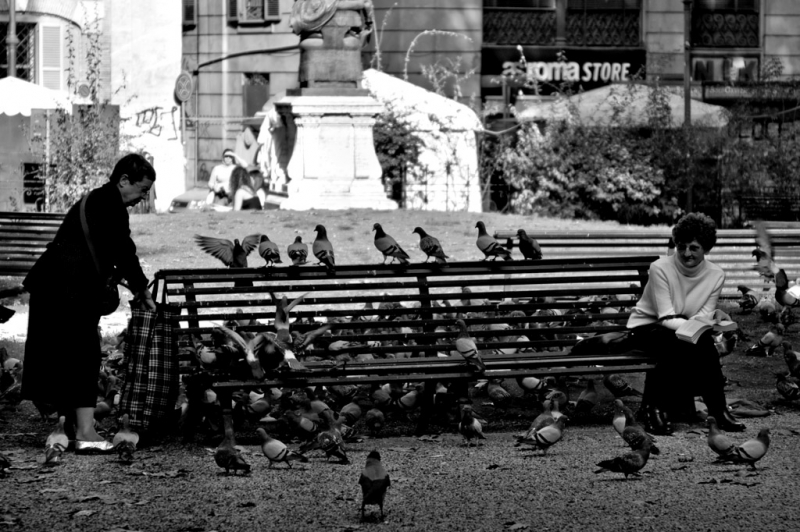Clicca per l'immagine full size