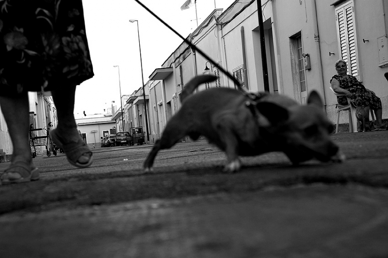 Clicca per l'immagine full size