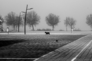 01012025eDSCF3650.jpg