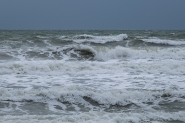 01122024eDSCF3574.jpg