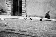 Nome File=02092018eDSCF5278.jpg
Dimensione File=505KB
Dimensioni=1200x800
Data aggiunta=Giu 09, 2022 02092018eDSCF5278.jpg