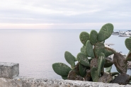 04012025eDSCF3714.jpg
