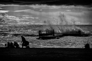 Nome File=07122020eDSCF0296.jpg
Dimensione File=570KB
Dimensioni=1200x800
Data aggiunta=Dic 07, 2020 07122020eDSCF0296.jpg