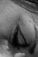 Nome File=12032022eDSCF4322.jpg
Dimensione File=581KB
Dimensioni=683x1024
Data aggiunta=Mar 18, 2022 12032022eDSCF4322.jpg