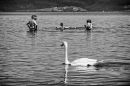Nome File=14072018eDSCF4447.jpg
Dimensione File=476KB
Dimensioni=1200x800
Data aggiunta=Lug 15, 2018 14072018eDSCF4447.jpg